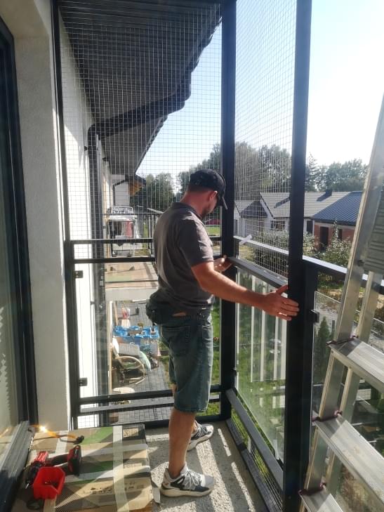 kot wspinający się po słupku we wnętrzu woliery