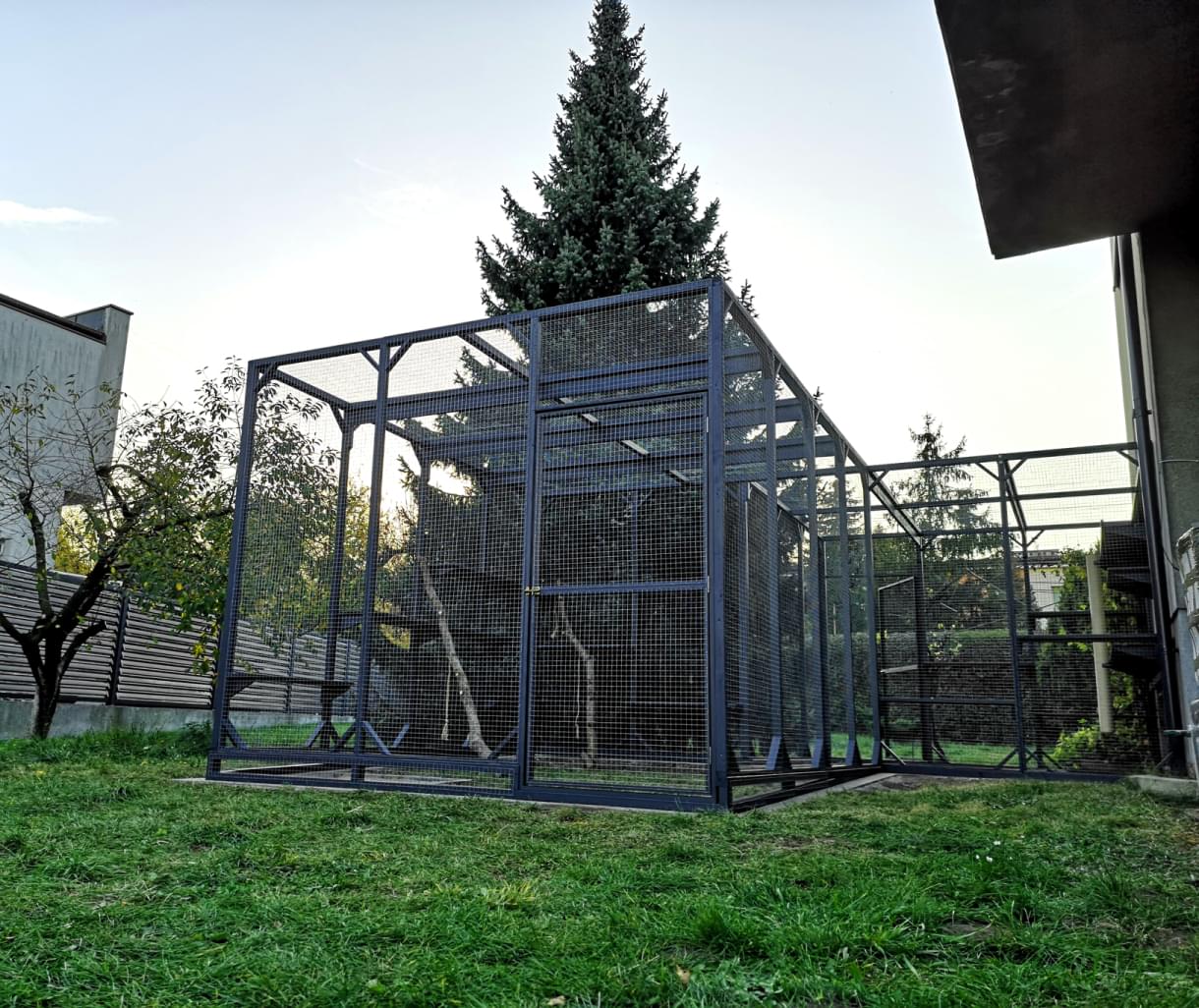 widok na dużą ogrodową wolierę na tle wyniosłej jodły