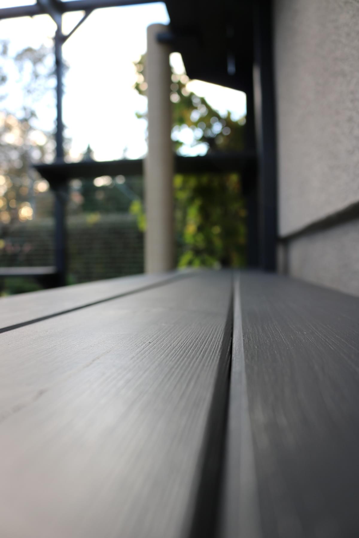 zdjęcie kotiery stojącej w ogrodzie na trawie na tle drzewa