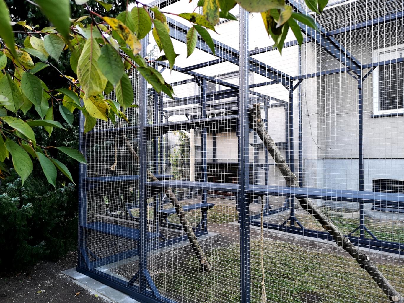 widok na ogrodową wolieręprzy budynku