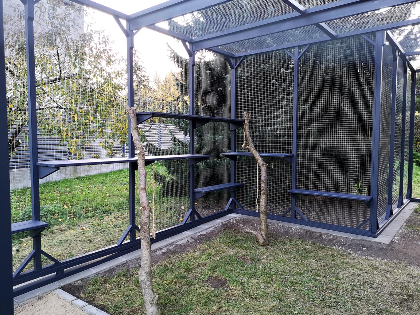 widok na dużą wolierę dolegającą do domu jednorodzinnego