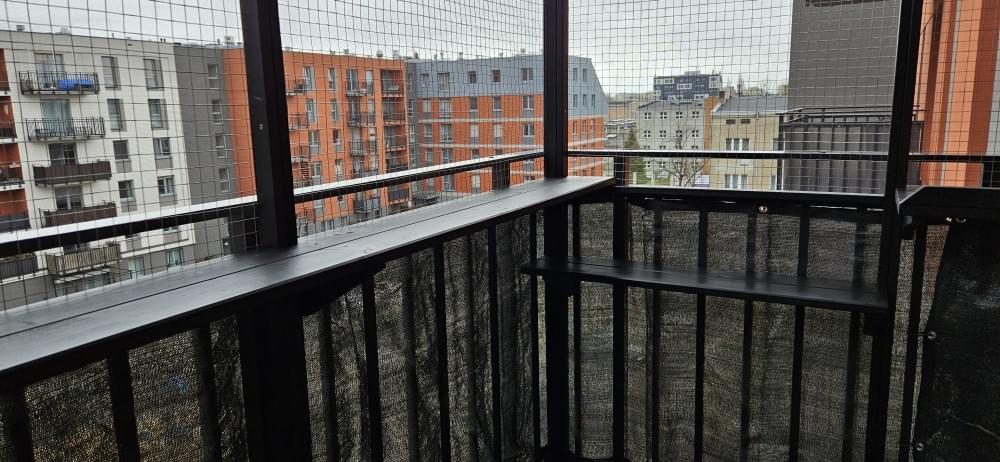 kot wspinający się po słupku we wnętrzu woliery