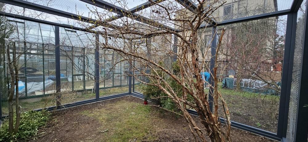 siedzący na pniu kot we wnętrzu woliery