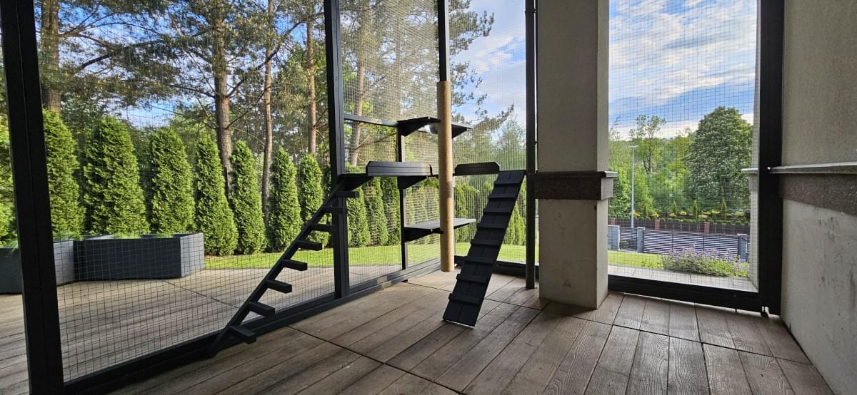 siedzący na półce, myjący się kot we wnętrzu woliery